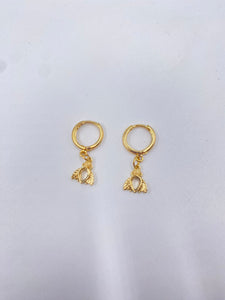 aretes insecto