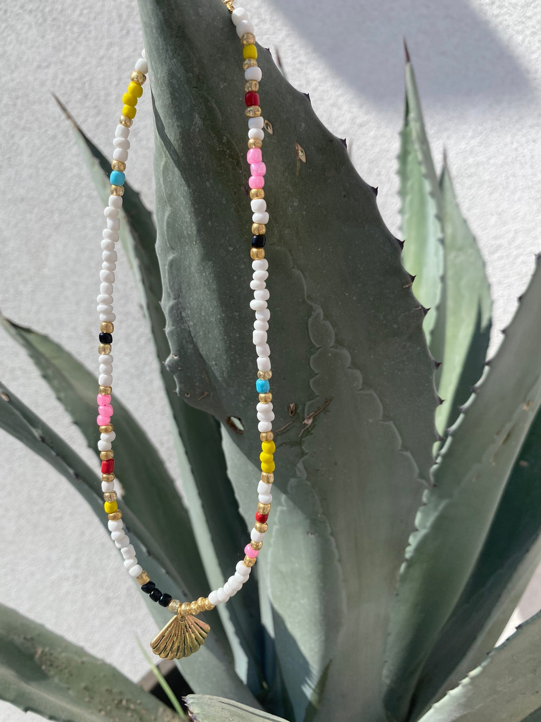 collar colores concha